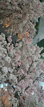 サンシャイン60展望台に投稿された画像（2026/4/18）