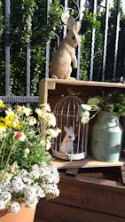 横浜イングリッシュガーデンに投稿された画像（2026/4/18）