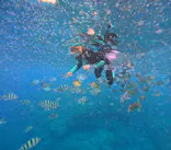 沖縄マリンサービス碧に投稿された画像（2026/4/18）