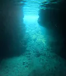 沖縄マリンサービス碧に投稿された画像（2026/4/18）