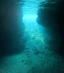 沖縄マリンサービス碧に投稿された画像（2026/4/18）