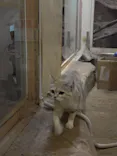 こども動物自然公園（埼玉県公園緑地協会）に投稿された画像（2026/4/18）