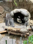 サンシャイン水族館に投稿された画像（2026/4/18）