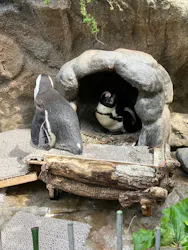 サンシャイン水族館に投稿された画像（2026/4/18）