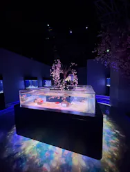 マクセル アクアパーク品川に投稿された画像（2026/4/18）