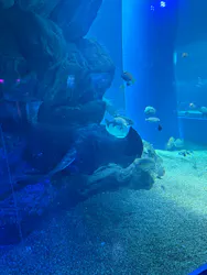 マクセル アクアパーク品川に投稿された画像（2026/4/18）