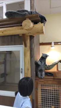 アニタッチ MARK IS 静岡に投稿された画像（2026/4/18）