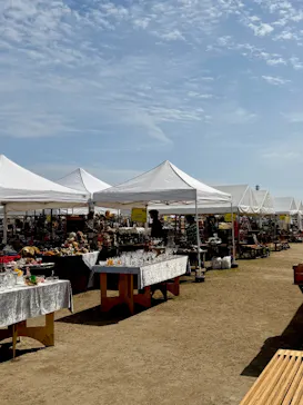 万博記念公園に投稿された画像（2026/4/18）