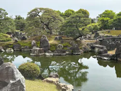 元離宮二条城に投稿された画像（2026/4/18）