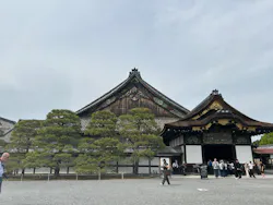 元離宮二条城に投稿された画像（2026/4/18）