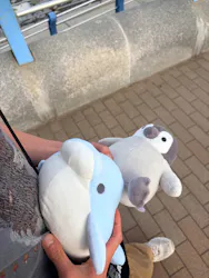 アクアワールド茨城県大洗水族館に投稿された画像（2026/4/18）