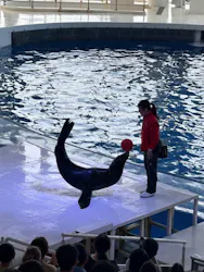 アクアワールド茨城県大洗水族館に投稿された画像（2026/4/18）