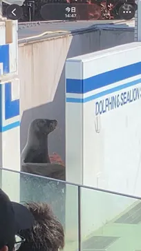 しながわ水族館に投稿された画像（2026/4/18）