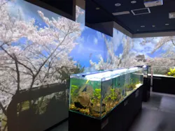 アクアテラス錦ケ丘に投稿された画像（2026/4/18）