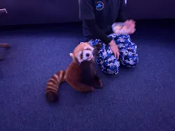 横浜・八景島シーパラダイスに投稿された画像（2026/4/18）