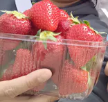 東松山市農林公園に投稿された画像（2026/4/18）