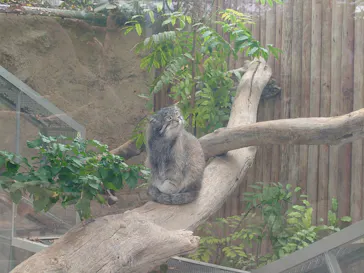 神戸どうぶつ王国に投稿された画像（2026/4/18）