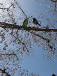 箱根ガラスの森美術館に投稿された画像（2026/4/18）