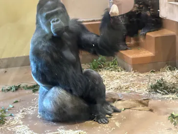 名古屋市東山動植物園に投稿された画像（2026/4/18）