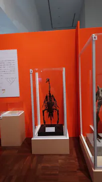 特別展「鳥 ～ゲノム解析が解き明かす新しい鳥類の系統～」に投稿された画像（2026/4/18）
