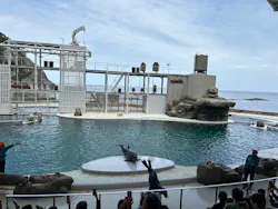 城崎マリンワールドに投稿された画像（2026/4/18）