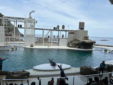 城崎マリンワールドに投稿された画像（2026/4/18）