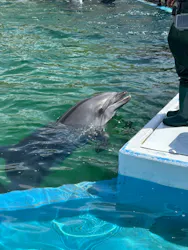 横浜・八景島シーパラダイスに投稿された画像（2026/4/18）