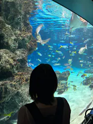 サンシャイン水族館に投稿された画像（2026/4/18）