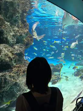 サンシャイン水族館に投稿された画像（2026/4/18）