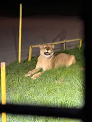 那須サファリパークに投稿された画像（2026/4/18）