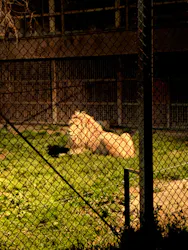 那須サファリパークに投稿された画像（2026/4/18）