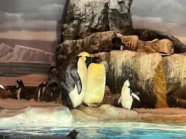 名古屋港水族館に投稿された画像（2026/4/18）