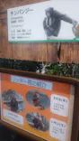 天王寺動物園に投稿された画像（2026/4/18）