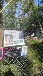 天王寺動物園に投稿された画像（2026/4/18）
