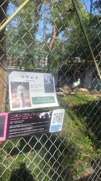 天王寺動物園に投稿された画像（2026/4/18）