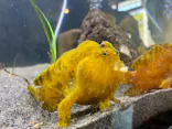 浜名湖体験学習施設ウォットに投稿された画像（2026/4/18）
