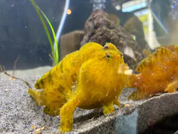 浜名湖体験学習施設ウォットに投稿された画像（2026/4/18）