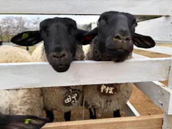 牧歌の里に投稿された画像（2026/4/18）