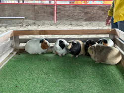 牧歌の里に投稿された画像（2026/4/18）