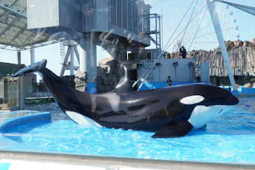 名古屋港水族館に投稿された画像（2026/4/18）