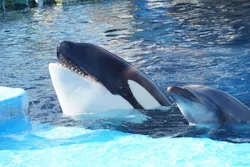 名古屋港水族館に投稿された画像（2026/4/18）