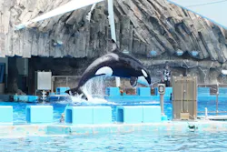 名古屋港水族館に投稿された画像（2026/4/18）
