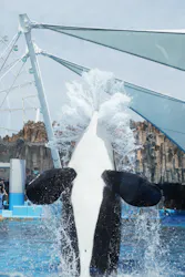 名古屋港水族館に投稿された画像（2026/4/18）