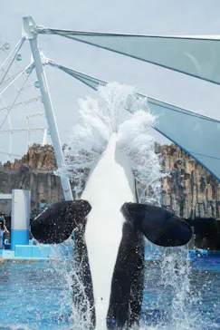 名古屋港水族館に投稿された画像（2026/4/18）