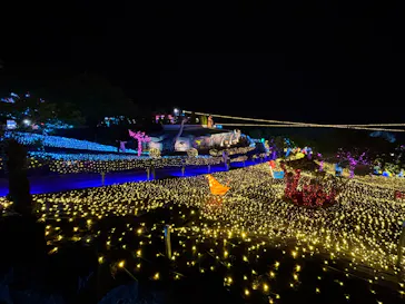 伊豆高原グランイルミに投稿された画像（2026/4/18）
