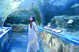 しながわ水族館に投稿された画像（2026/4/18）
