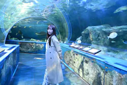 しながわ水族館に投稿された画像（2026/4/18）