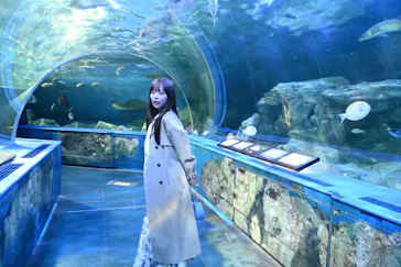 しながわ水族館に投稿された画像（2026/4/18）