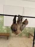 Moff animal world BIGHOPガーデンモール印西店に投稿された画像（2026/4/18）