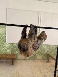 Moff animal world BIGHOPガーデンモール印西店に投稿された画像（2026/4/18）